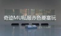 奇迹MU私服赤色要塞玩家分享战斗技巧与成长经验